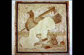 Agrigento - La valle dei templi. Museo Archeologico. emblemata musivo staccato dai pavimenti del quartiere ellenistico-romano 